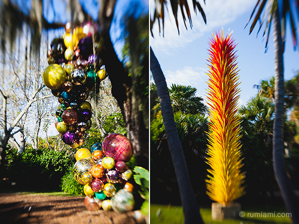 Dale Chihuly @ Fairchild Tropical Botanic Garden